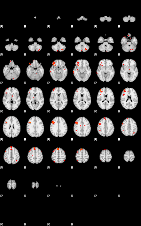 Patients 29104 143