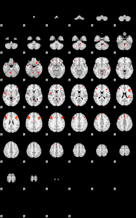 Patients 29162 106