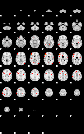 Patients 29168 182