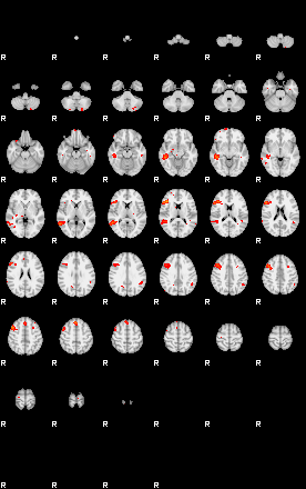 Patients 29183 48