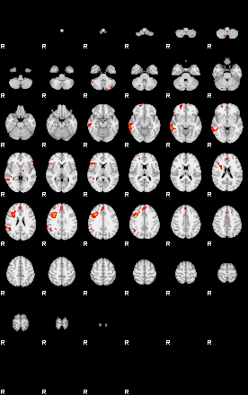 Patients 29213 142