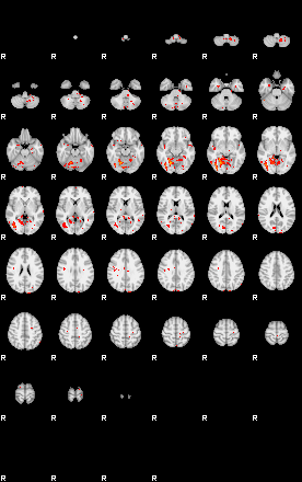 Patients 29508 74