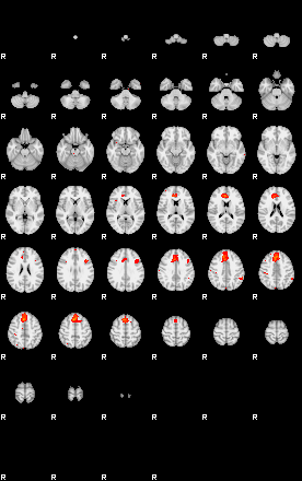 Patients 29401 6