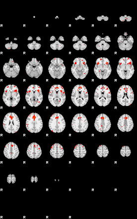 Patients 29013 74