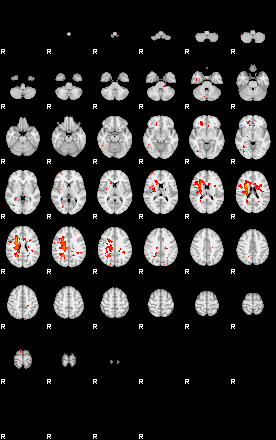 Patients 28909 24