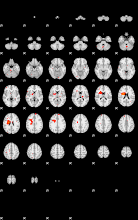 Patients 29042 25