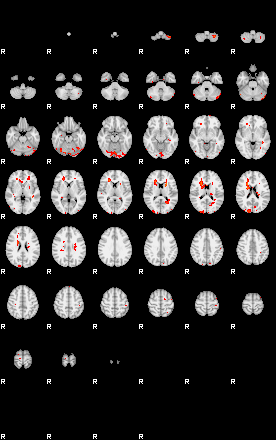 Patients 29052 24