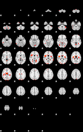 Patients 29102 168