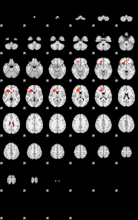 Patients 29163 40