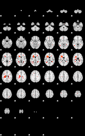 Patients 29202 146