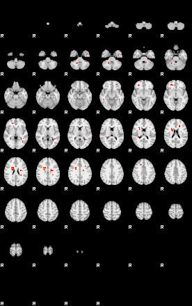 Patients 29204 24