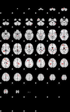 Patients 29205 25