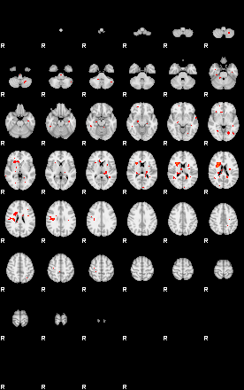 Patients 29212 41