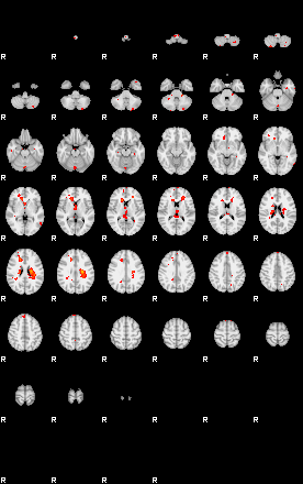 Patients 29213 173