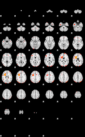 Patients 29273 53