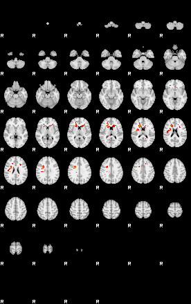 Patients 29290 198