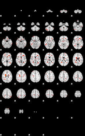 Patients 29629 25