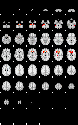 Patients 29676 91