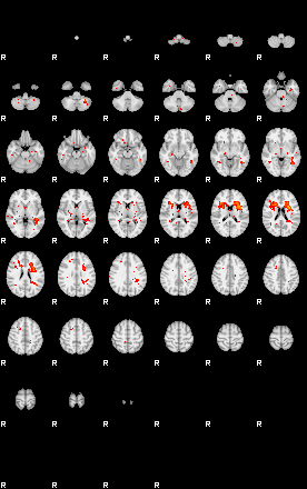 Patients 30019 147