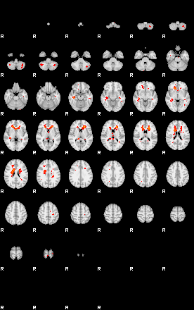 Patients 29181 25