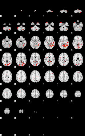 Patients 29389 45