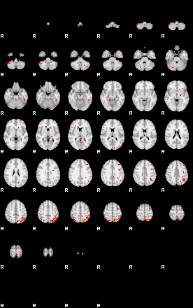 Patients 28810 127