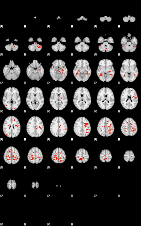 Patients 29100 40