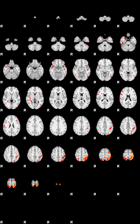 Patients 29104 59