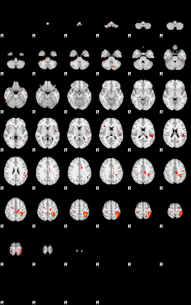 Patients 29213 105