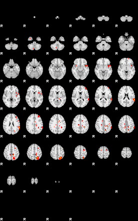 Patients 29213 122