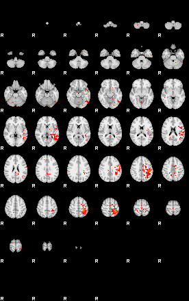 Patients 29561 97