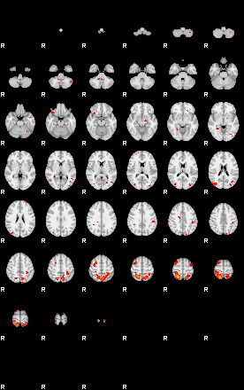 Patients 29205 158