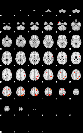 Patients 29166 102