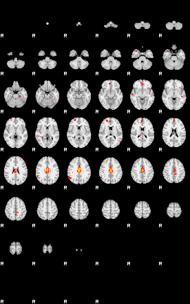 Patients 29344 192