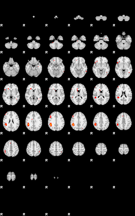 Patients 29166 135