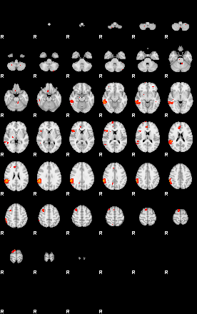 Patients 29183 95