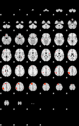 Patients 29204 133