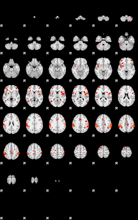 Patients 29205 17