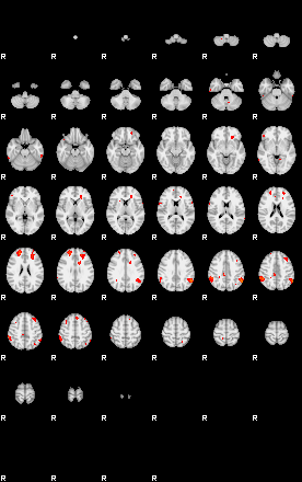 Patients 29206 28