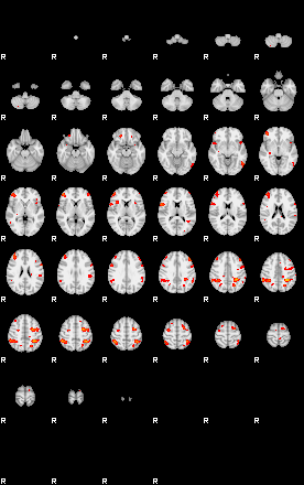 Patients 29101 38