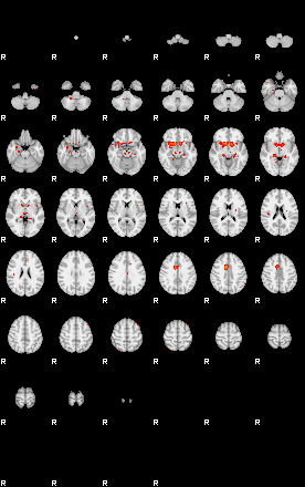 Patients 29273 97