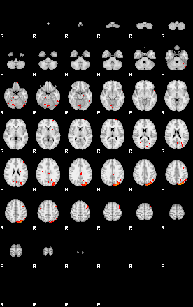 Patients 29167 104