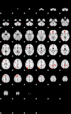 Patients 29206 2