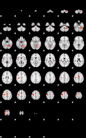 Patients 28939 43