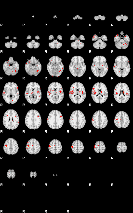 Patients 29207 41