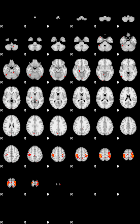 Patients 29796 56