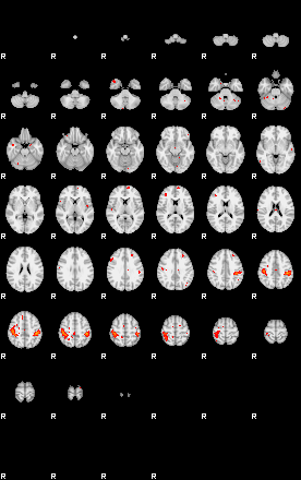 Patients 29219 194