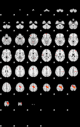 Patients 29400 58