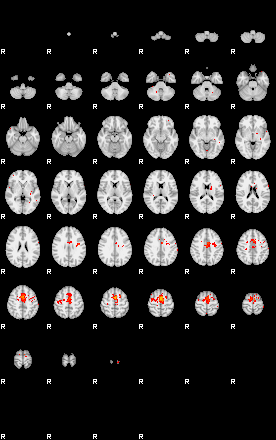 Patients 29591 43