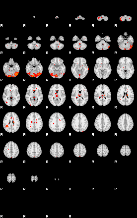 Patients 29031 145